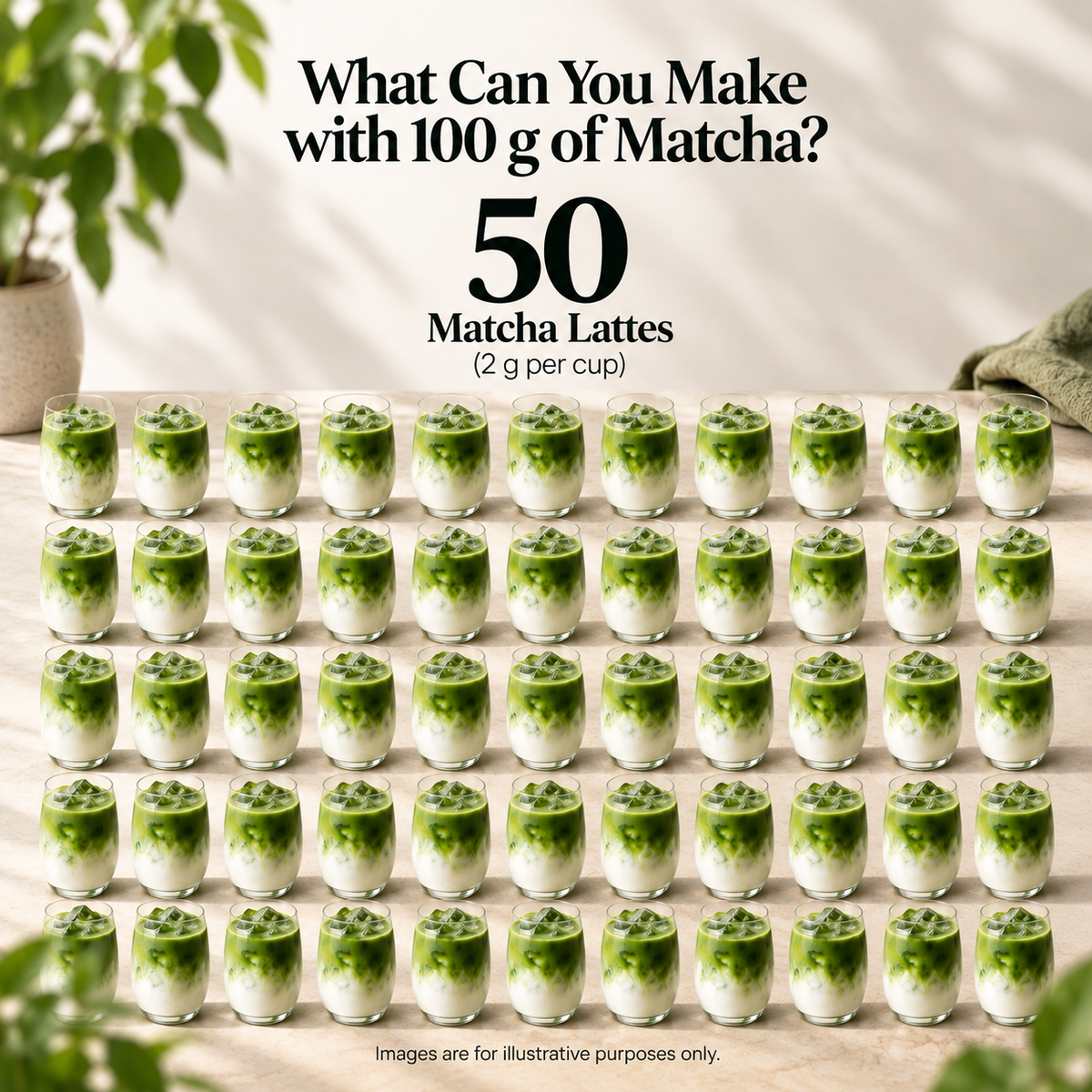Japanese Pure Matcha 100g